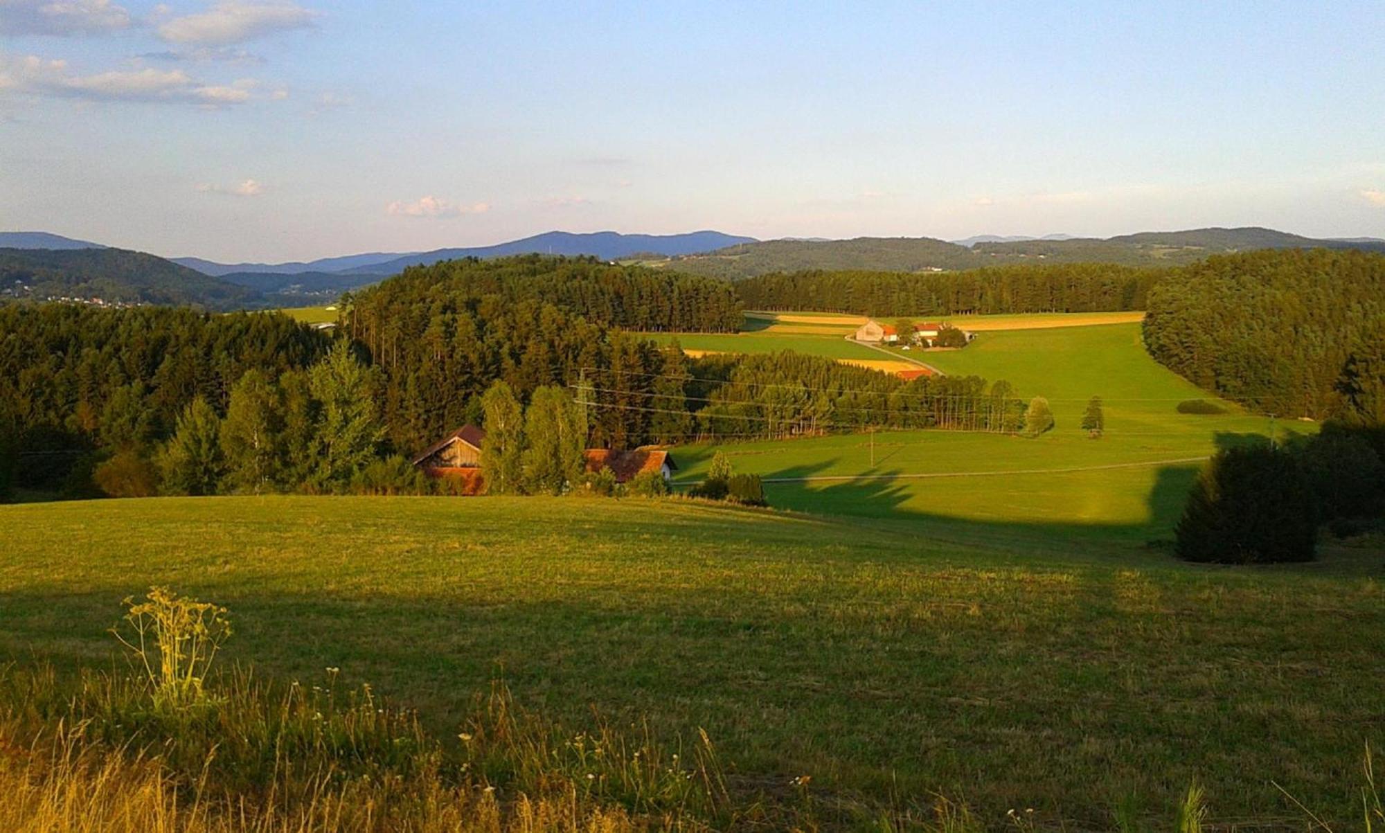 Apartment-Ferienwohnung Penzkofer Zandt ภายนอก รูปภาพ